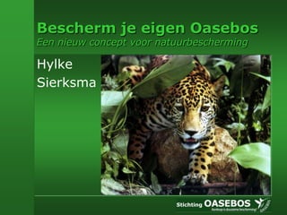 Bescherm je eigen Oasebos
Een nieuw concept voor natuurbescherming

Hylke
Sierksma
 