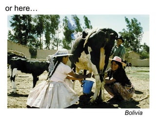 Presentatie IAC 5 Mei 2009