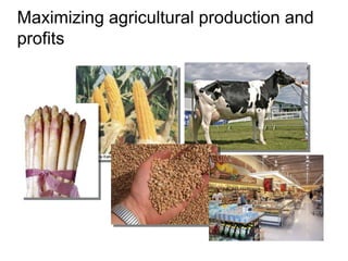 Presentatie IAC 5 Mei 2009