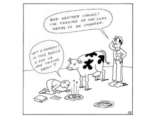 Presentatie IAC 5 Mei 2009