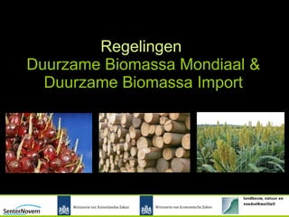 Regelingen  Duurzame Biomassa Mondiaal & Duurzame Biomassa Import 