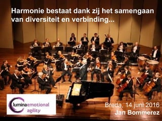 Harmonie bestaat dank zij het samengaan
van diversiteit en verbinding...
Breda, 14 juni 2016
Jan Bommerez
 