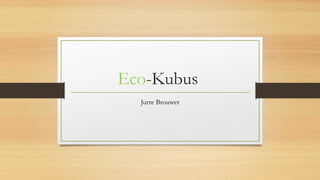 Eco-Kubus
Jurre Brouwer
 