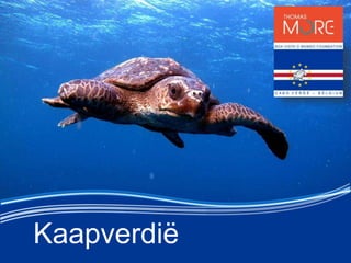 Kaapverdi?
 
