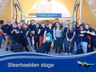 Sfeerbeelden stage
 