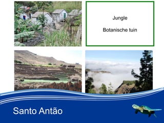 Santo Ant?o
Jungle
Botanische tuin
 