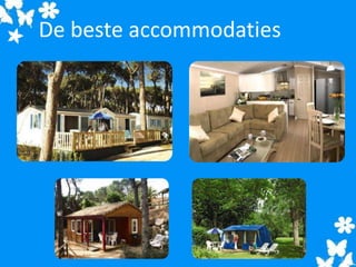 De beste accommodaties
 