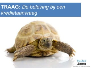 TRAAG: De beleving bij een
kredietaanvraag
 