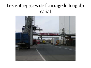 Les entreprises de fourrage le long du
canal
 