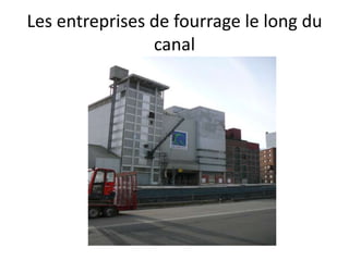 Les entreprises de fourrage le long du
canal
 
