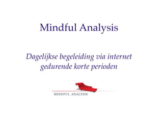 Mindful Analysis

Dagelijkse begeleiding via internet
   gedurende korte perioden
 