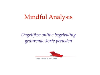 Mindful Analysis

Dagelijkse online begeleiding
 gedurende korte perioden
 