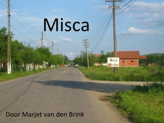 Misca



Door Marjet van den Brink
 