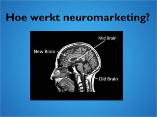 Hoe werkt neuromarketing?
 