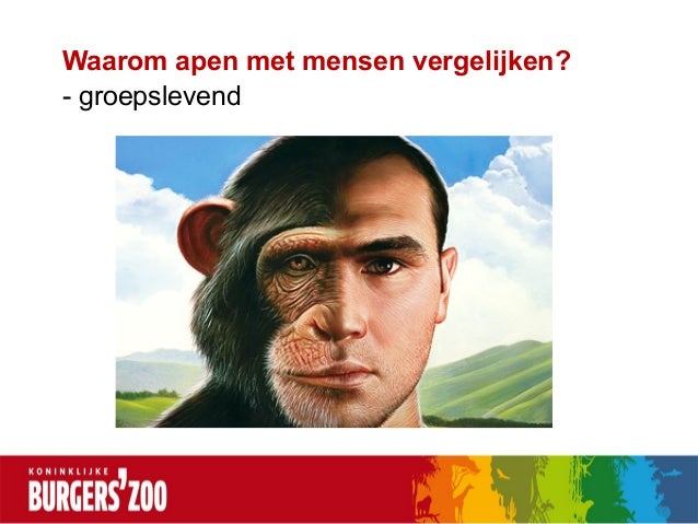 Presentatie 'niets menselijks is dieren vreemd' burgers' zoo