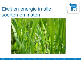 Eiwit en energie in alle
soorten en maten
 