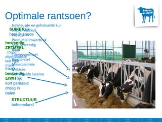 SUIKERrijk
hooi 2e
snede
bestendig
ZETMEEL
(hoog
afgehakselde
laat rijpe
mais)
traag
bestendig
EIWITrijk
kort gemaaid
droog in
balen
STRUCTUUR
beheersland
Gekneusde en gehakselde kuil
Snelle Maiskuil
Protical ++
Productie Powerbrok
Soja bestendig
Raap
Tarwevoermeel
Bierborstel
Mineralenmix
Melasse
Gehakselde lucerne
Optimale rantsoen?
 