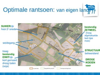Optimale rantsoen: van eigen land?
SUIKERrijk
hooi 2e
snede
bestendig
ZETMEEL
(hoog
afgehakselde
laat rijpe
mais)
weidegang
traag
bestendig
EIWITrijk
kort gemaaid
droog balen
(soja)
STRUCTUUR
beheersland
DROGE
KOEIEN
voer
 