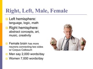 Right, Left, Male, Female
 Left hemisphere:
language, logic, math
 Right hemisphere:
abstract concepts, art,
music, creativity
 Female brain has more
neurons connecting two sides
w/ Corpus Collosum
 Men say 2,000 words/day
 Women 7,000 words/day
 