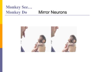 Monkey See…
Monkey Do Mirror Neurons
 