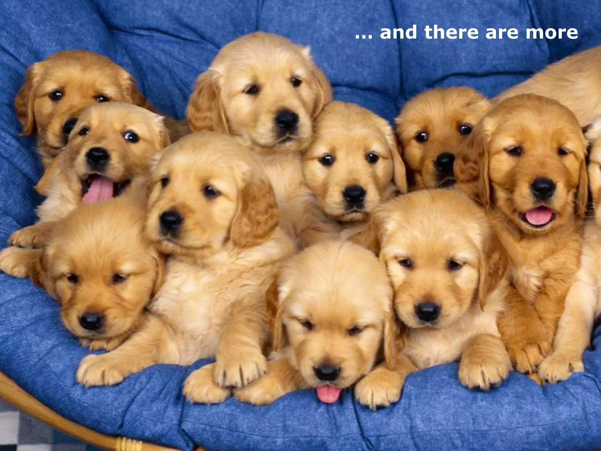 … and there are more
 