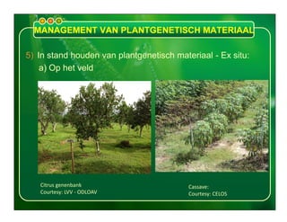 Presentatie pgr en pgm 16 juli 2013 revised