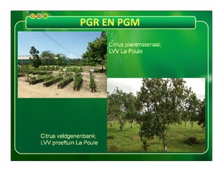 Presentatie pgr en pgm 16 juli 2013 revised