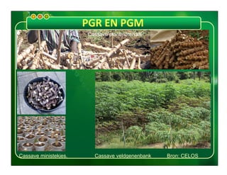 Presentatie pgr en pgm 16 juli 2013 revised