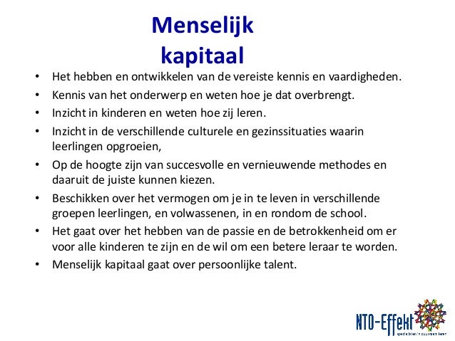 Professioneel Kapitaal