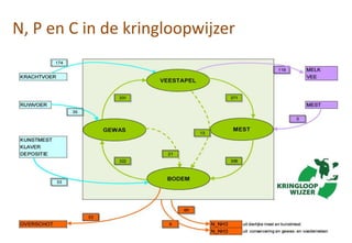 N, P en C in de kringloopwijzer
 