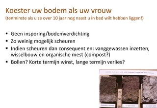 Koester uw bodem als uw vrouw
(tenminste als u ze over 10 jaar nog naast u in bed wilt hebben liggen!)
 Geen insporing/bodemverdichting
 Zo weinig mogelijk scheuren
 Indien scheuren dan consequent en: vanggewassen inzetten,
wisselbouw en organische mest (compost?)
 Bollen? Korte termijn winst, lange termijn verlies?
 
