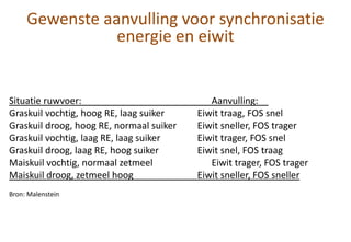 Situatie ruwvoer: Aanvulling:
Graskuil vochtig, hoog RE, laag suiker Eiwit traag, FOS snel
Graskuil droog, hoog RE, normaal suiker Eiwit sneller, FOS trager
Graskuil vochtig, laag RE, laag suiker Eiwit trager, FOS snel
Graskuil droog, laag RE, hoog suiker Eiwit snel, FOS traag
Maiskuil vochtig, normaal zetmeel Eiwit trager, FOS trager
Maiskuil droog, zetmeel hoog Eiwit sneller, FOS sneller
Bron: Malenstein
Gewenste aanvulling voor synchronisatie
energie en eiwit
 