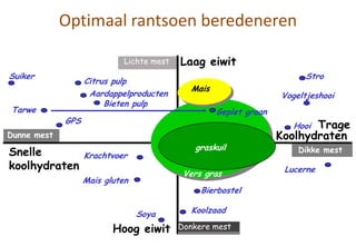 Optimaal rantsoen beredeneren
Snelle
koolhydraten
Laag eiwit
Hoog eiwit
Dikke mest
Donkere mest
Lichte mest
Dunne mest
Trage
Koolhydraten
graskuil
Mais
Suiker Stro
Soya
Bierbostel
Bieten pulp
Aardappelproducten
Lucerne
Hooi
Vogeltjeshooi
Citrus pulp
Koolzaad
Tarwe
Vers gras
Geplet graan
Mais gluten
Krachtvoer
GPS
 