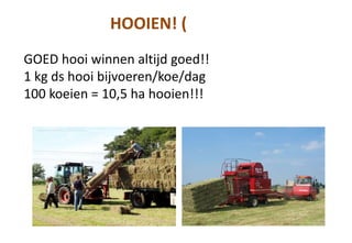 GOED hooi winnen altijd goed!!
1 kg ds hooi bijvoeren/koe/dag
100 koeien = 10,5 ha hooien!!!
HOOIEN! (
 