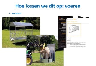 Hoe lossen we dit op: voeren
• Hooiruif?
 