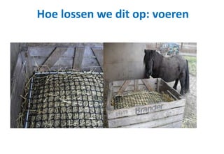 Hoe lossen we dit op: voeren
 