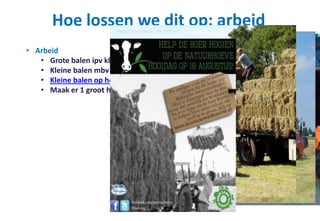 Hoe lossen we dit op: arbeid
• Arbeid
• Grote balen ipv kleine
• Kleine balen mbv mechanisatie
• Kleine balen op het erf persen (filmpje)
• Maak er 1 groot hooi feest van!!
 
