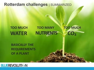 Rotterdam challenges | SUMMARIZED
TOO MUCH
WATER
TOO MANY
NUTRIENTS
TOO MUCH
CO₂
BASICALLY THE
REQUIREMENTS
OF A PLANT
 