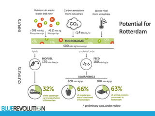 Potential for
Rotterdam
* preliminarydata,underreview
 