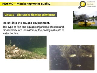 INDYMO – Monitoring water quality
Visuals – Life under floating platforms
Insight into the aquatic environment.
The type of fish and aquatic organisms present and
bio-diversity, are indicators of the ecological state of
water bodies.
 