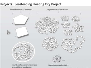 Projects| Seasteading Floating City Project
 