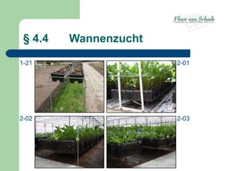 § 4.4   Wannenzucht

1-21                   2-01




2-02                   2-03
 