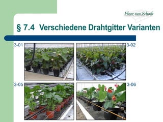§ 7.4 Verschiedene Drahtgitter Varianten

3-01                           3-02




3-05                           3-06
 