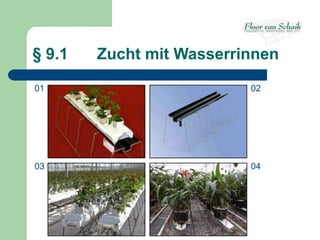 § 9.1   Zucht mit Wasserrinnen

01                        02




03                        04
 
