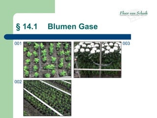 § 14.1   Blumen Gase

001                    003




002
 