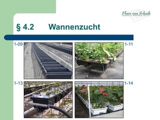 § 4.2   Wannenzucht

1-09                   1-11




1-13                   1-14
 