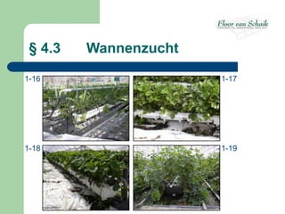 § 4.3   Wannenzucht

1-16                   1-17




1-18                   1-19
 