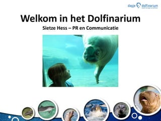 Welkom in het Dolfinarium
Sietze Hess – PR en Communicatie
 