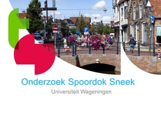 Onderzoek Spoordok Sneek 
Universiteit Wageningen 
 