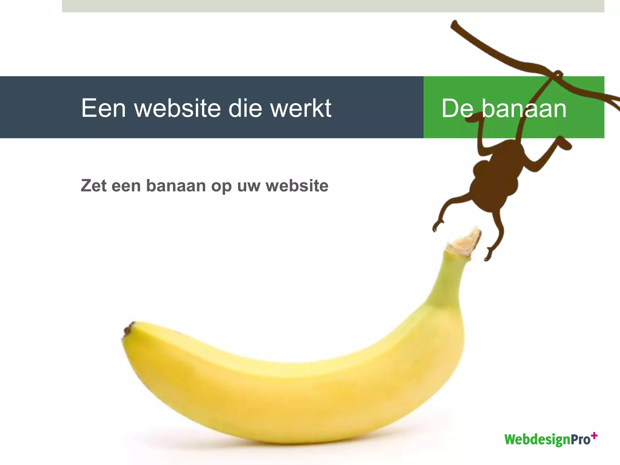 Een website die werkt
Zet een banaan op uw website
De banaan
 